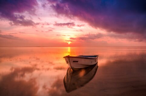 white row boat on body of water